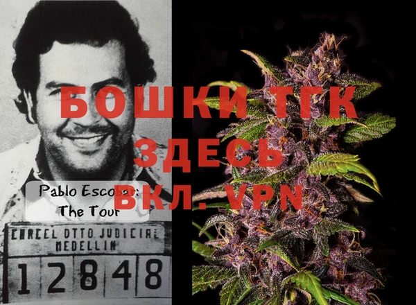 хмурый Алексеевка