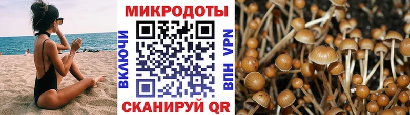Псилоцибиновые грибы мицелий Невьянск