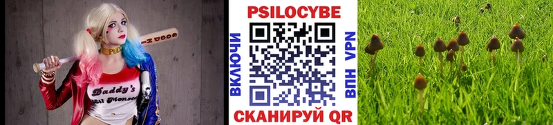 Галлюциногенные грибы Cubensis Невьянск